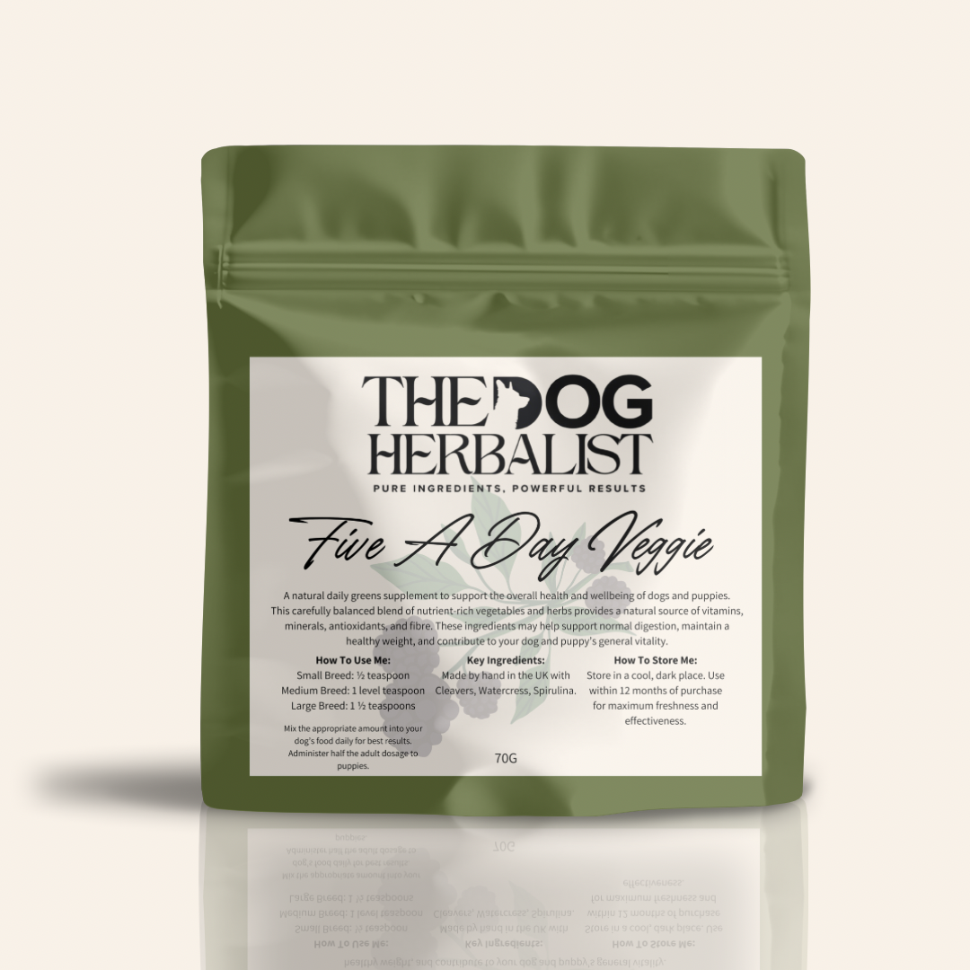 Five A Day Veggie Herbal Powder