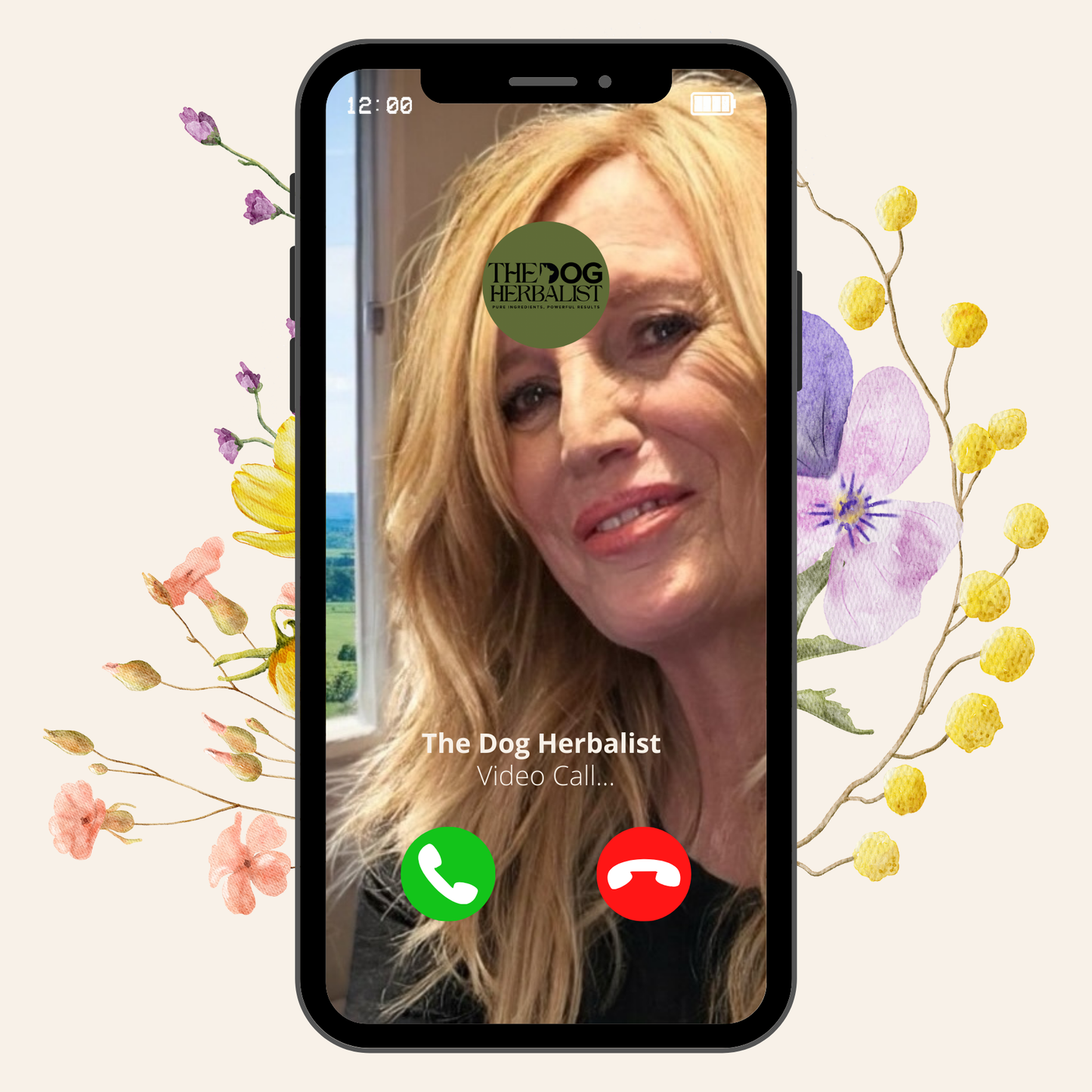 30 Minute 1-1 Call w/ The Dog Herbalist