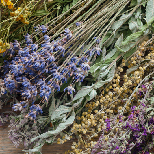 Natural Herbal Health Tips for Dogs