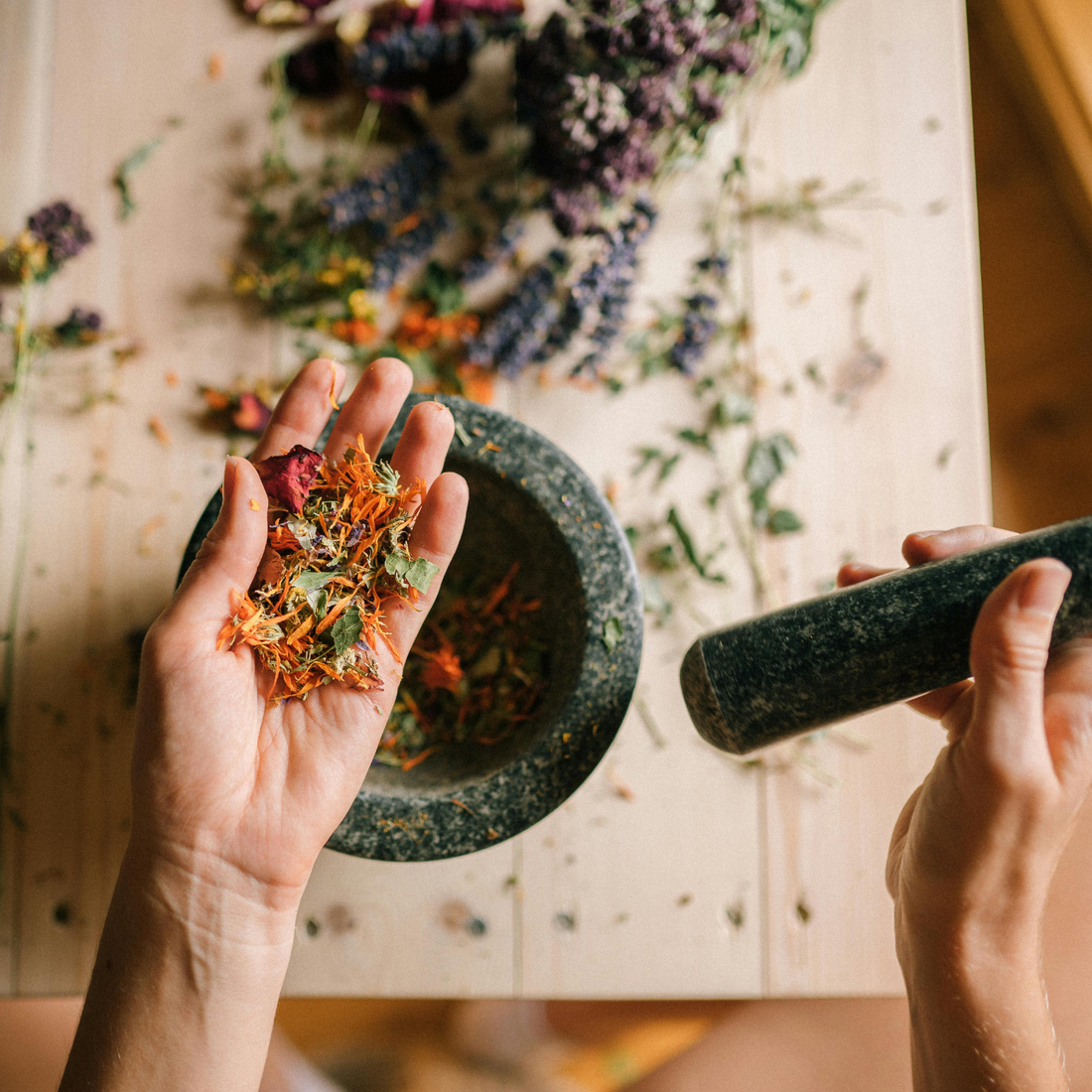 The Science Behind Herbal Remedies: How Phytochemicals Benefit Canine Health