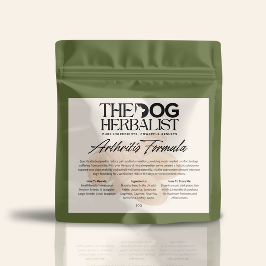 Achey Dog Herbal Powder – natural herbal supplement for dog pain relief – holistic dog health UK