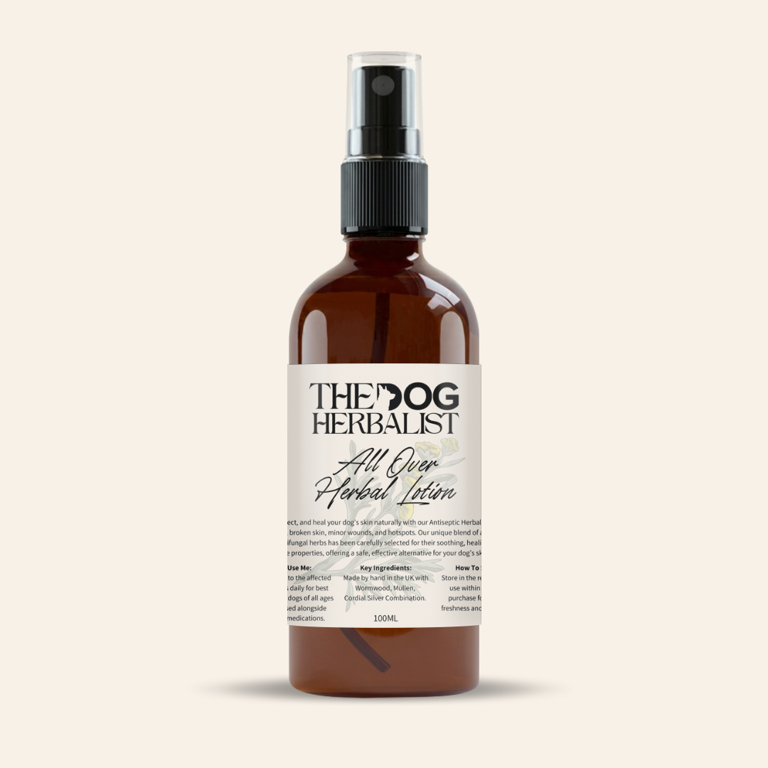 All Over Herbal Lotion – natural herbal lotion for dog skin and coat health – holistic dog health UK