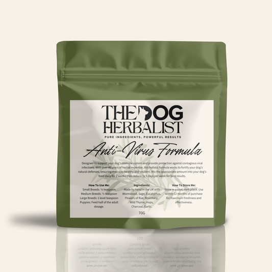 Anti-Virus Herbal Powder – natural herbal supplement for dog immune support – holistic dog health UK