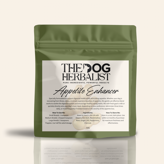 Appetite Enhancer Herbal Powder – natural herbal supplement for dogs with poor appetite – holistic dog health UK