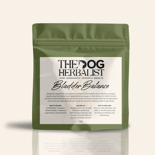Bladder Balance Herbal Powder – natural herbal supplement for dog bladder health – holistic dog health UK