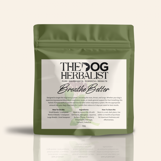 Breathe Better Herbal Powder – natural herbal supplement for dog respiratory health – holistic dog health UK