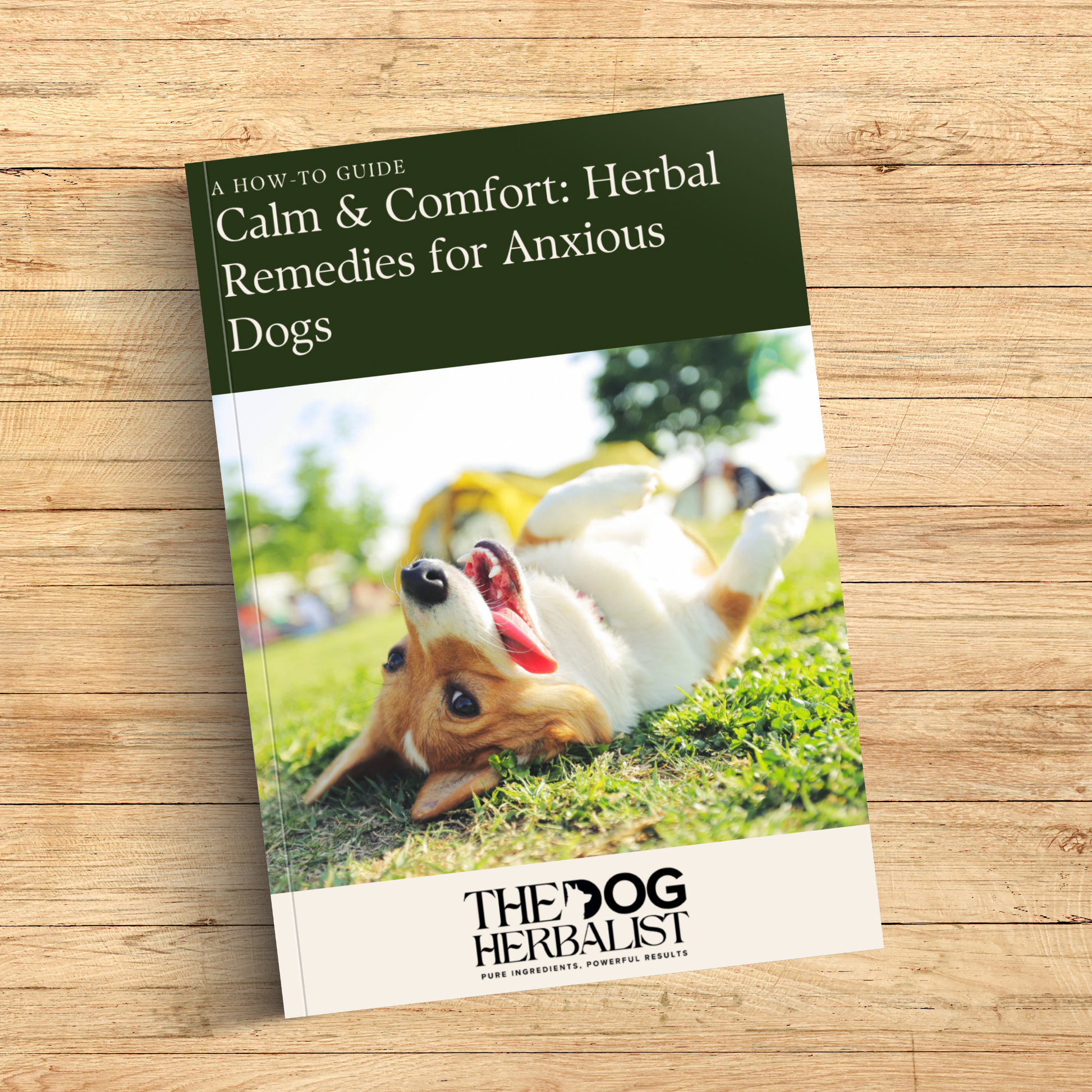 Calm & Comfort: Herbal Remedies for Anxious Dogs – natural herbal remedies eBook for anxious dogs – holistic dog health UK