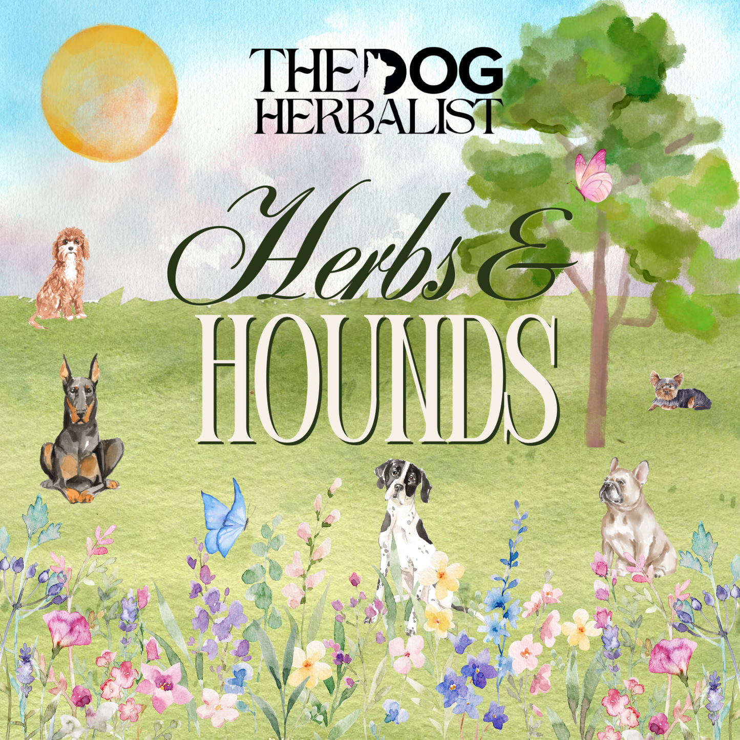 Herbs & Hounds | Holistic Dog Event