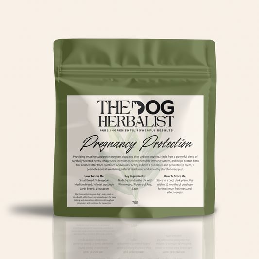 Pregnancy Protect Herbal Powder