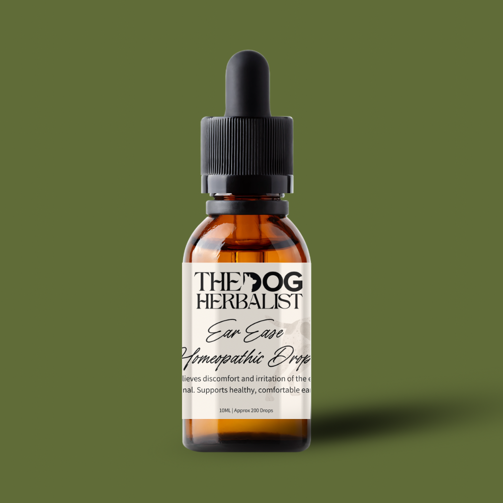 Ear Ease Homeopathic Drops – natural homeopathic drops for dog ear infections and ear discomfort – holistic dog health UK
