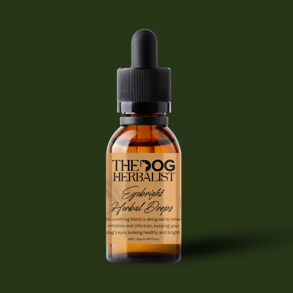 Eyebright Homeopathic Drops – natural homeopathic drops for dog eye health – holistic dog health UK