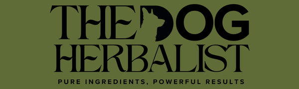 The Dog Herbalist