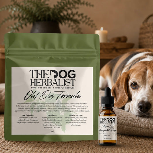 Senior Dog Health & Dental Bundle