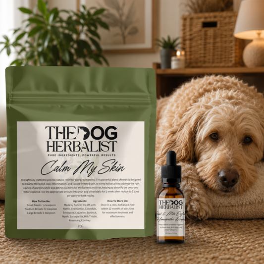 Skin & Indoor Allergy Relief Bundle