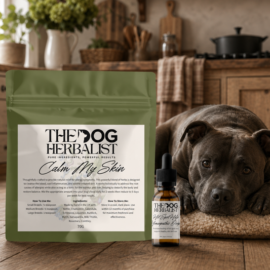 Itchy Skin & Hot Spot Relief Bundle