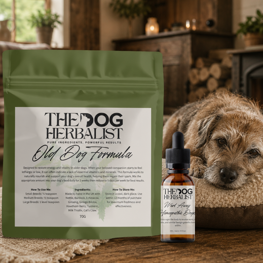 Senior Dog Health & Skin Bundle