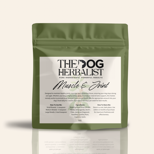 Muscle & Joint Herbal Powder – natural herbal supplement for dog joint and mobility support – holistic dog health UK
