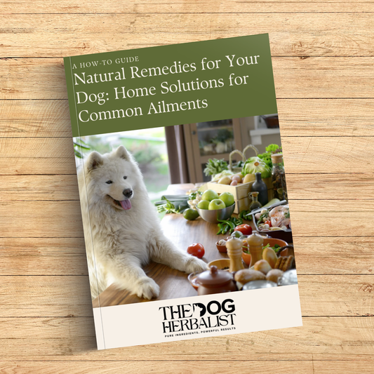 Natural Home Solutions for Dog Ailments eBook – natural dog health home solutions – holistic dog care UK