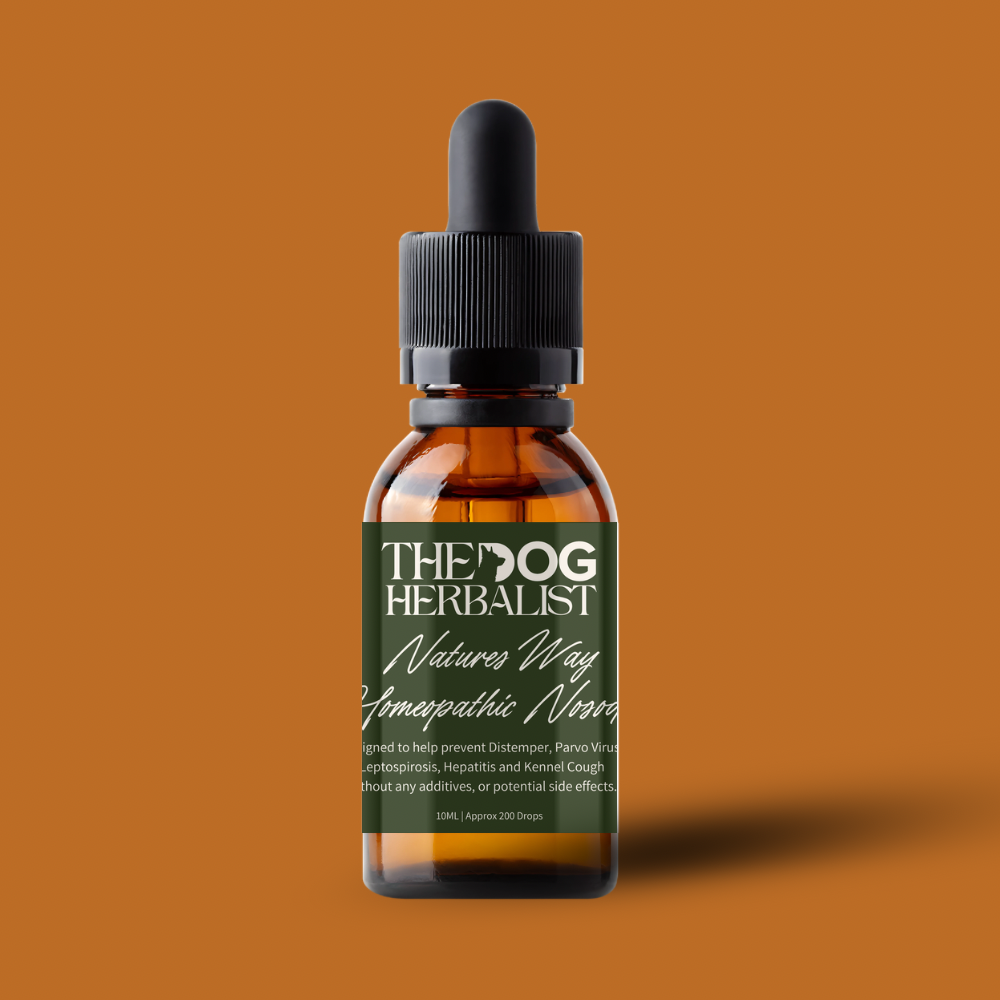 Natures Way Homeopathic Drops – natural homeopathic drops for dog health and wellbeing – holistic dog health UK