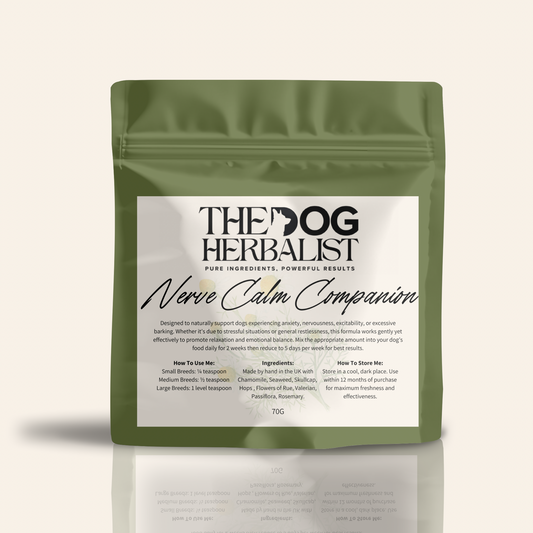 Nerve Calm Companion Herbal Powder – natural herbal supplement for dog anxiety and nervous system support – holistic dog health UK