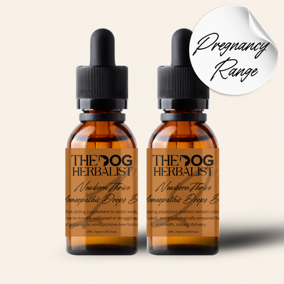 Newborn Thrive Homeopathic Drops Duo – natural homeopathic drops to support newborn puppy health – holistic dog health UK