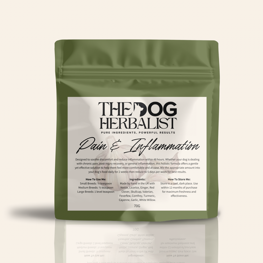 Pain & Inflammation Herbal Powder – natural herbal supplement for dog pain and inflammation relief – holistic dog health UK