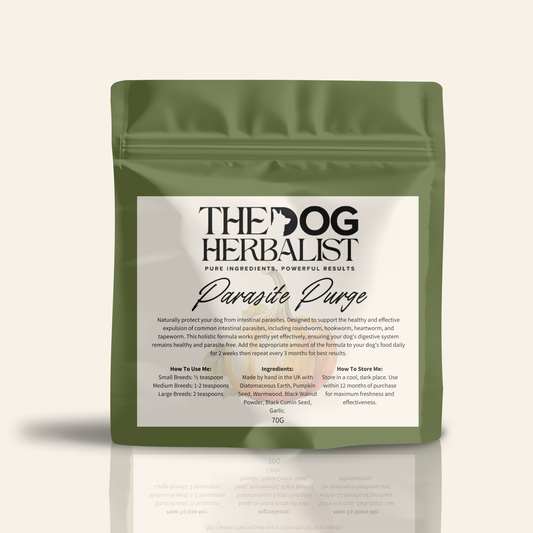 Parasite Purge Herbal Powder – natural herbal supplement for dog parasite control – holistic dog health UK