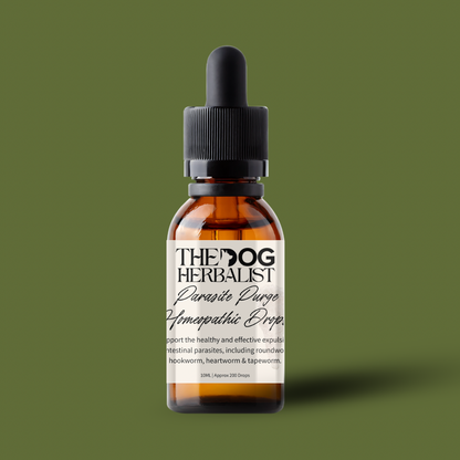 Parasite Purge Homeopathic Drops – natural homeopathic drops for dog parasite support – holistic dog health UK

