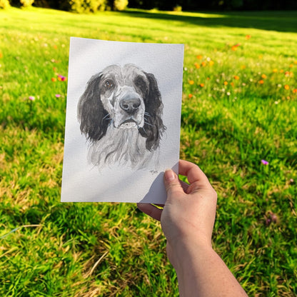 Herbs & Hounds | Holistic Dog Event