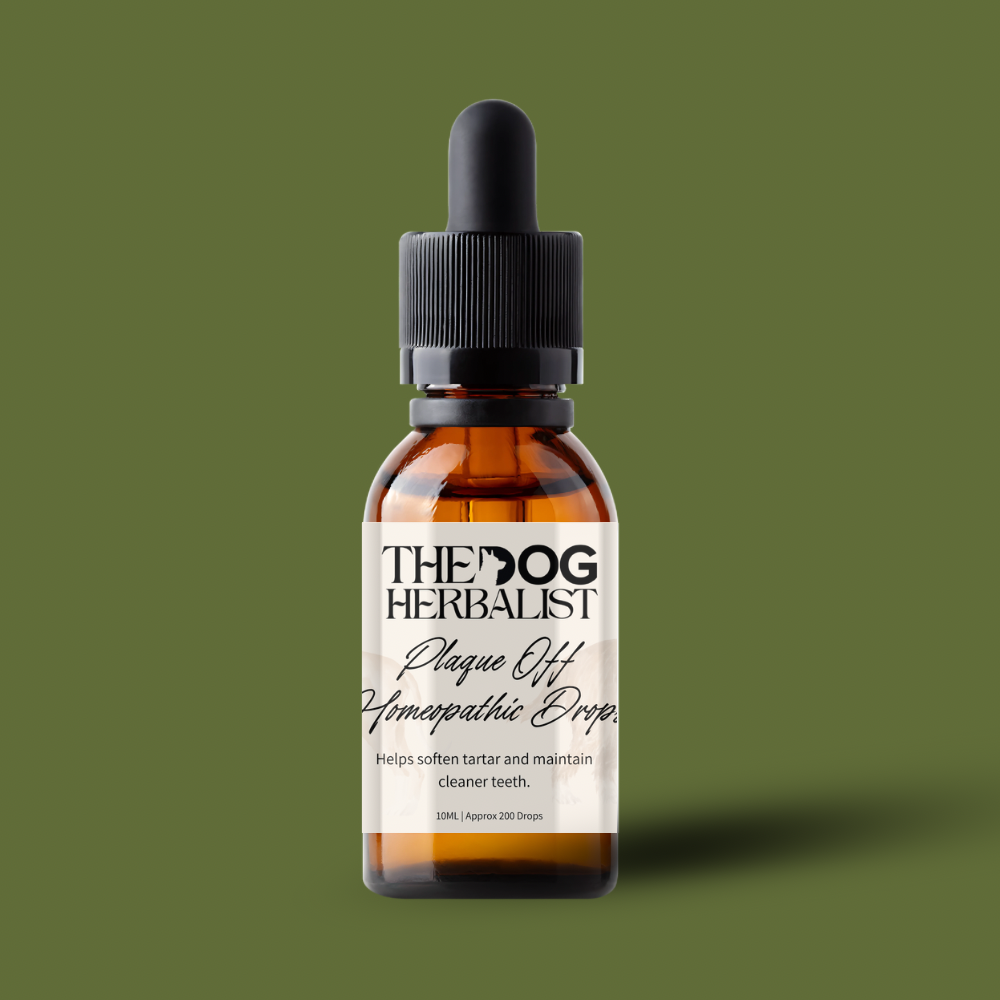 Plaque Off Homeopathic Drops – natural homeopathic drops for dog dental health and plaque removal – holistic dog health UK