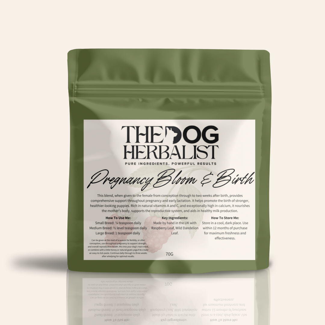 Pregnancy Bloom & Birth Herbal Powder – natural herbal supplement to support dogs during pregnancy and birth – holistic dog health UK