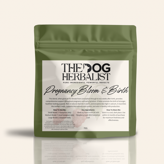Pregnancy Bloom & Birth Herbal Powder – natural herbal supplement to support dogs during pregnancy and birth – holistic dog health UK