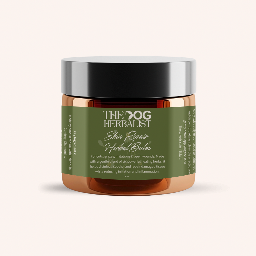 Skin Repair Herbal Balm – natural herbal balm for dog skin repair and healing – holistic dog health UK