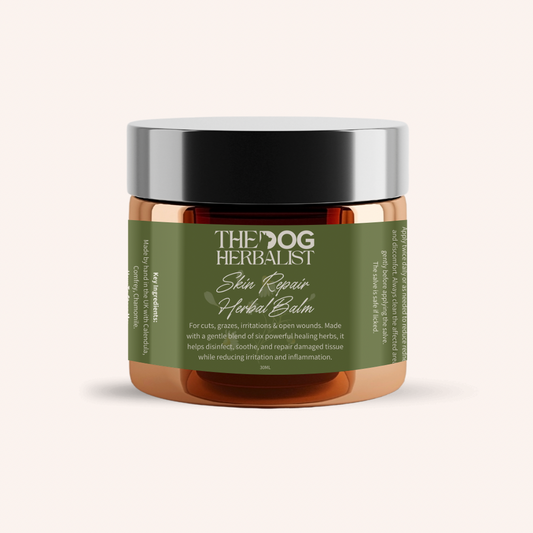 Skin Repair Herbal Balm – natural herbal balm for dog skin repair and healing – holistic dog health UK