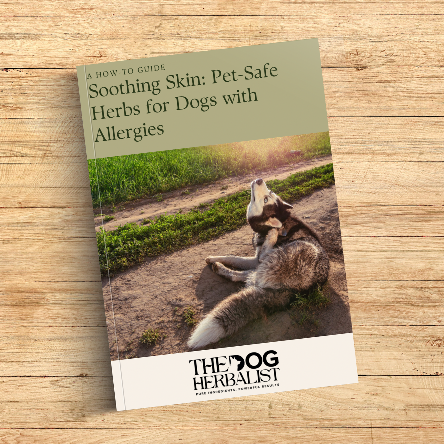 Soothing Skin: Pet-Safe Herbs for Dogs with Allergies eBook – natural herbal remedies eBook for dogs with skin allergies – holistic dog health UK
