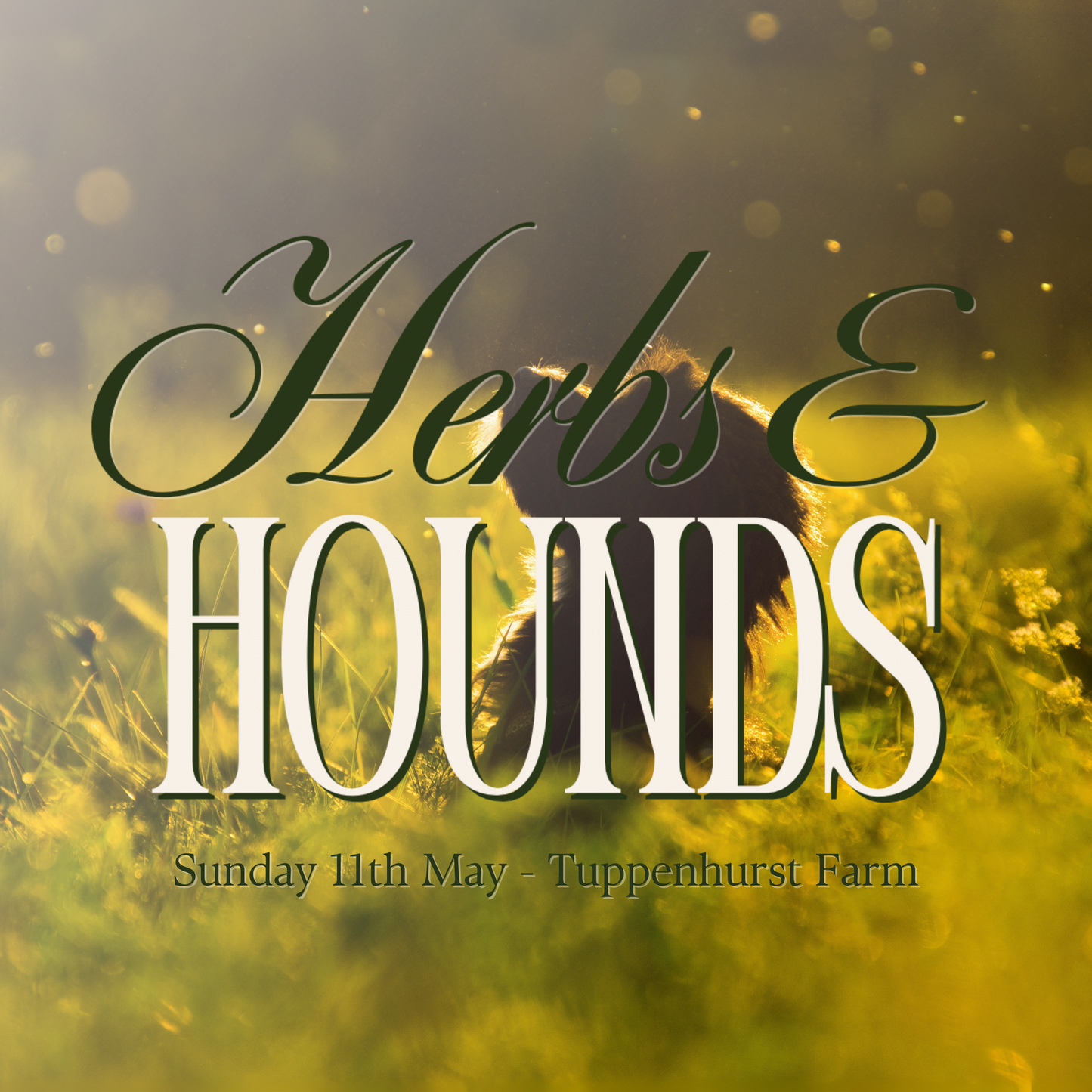 Herbs & Hounds | Holistic Dog Event