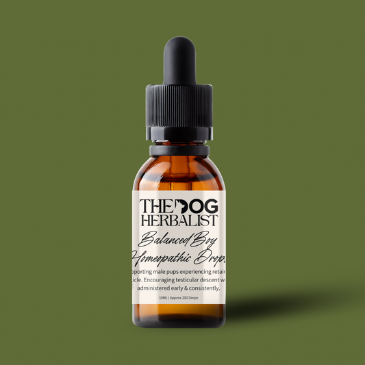 Balanced Boy Homeopathic Drops