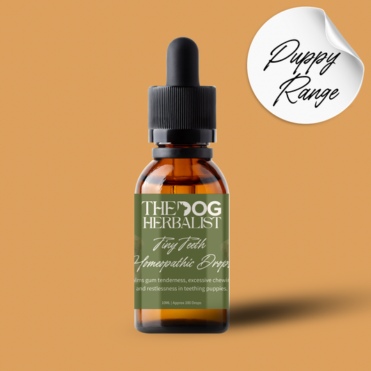 Tiny Teeth Homeopathic Drops