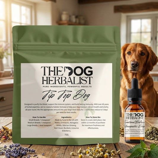 Tip Top Dog & Emotional Wellbeing Bundle – natural herbal and homeopathic bundle for dog emotional wellbeing and vitality – holistic dog health UK