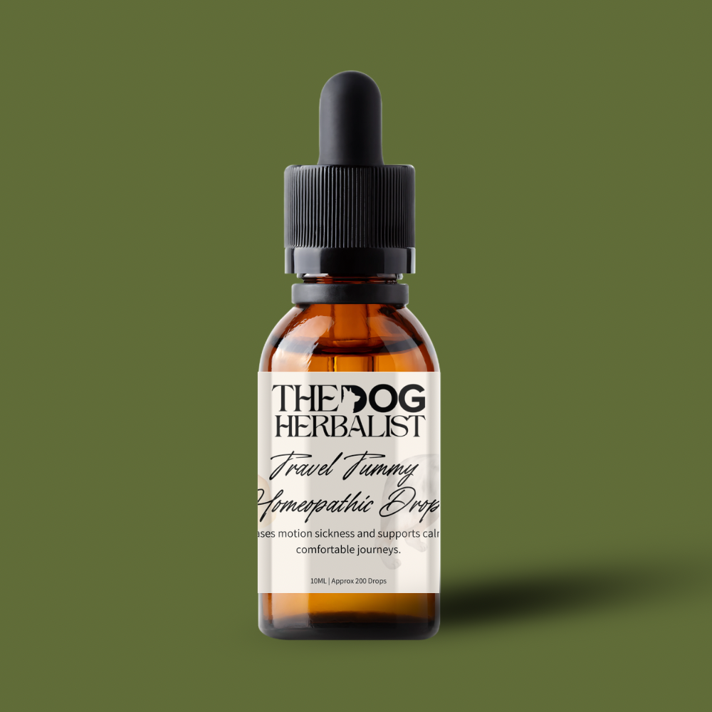 Travel Tummy Homeopathic Drops – natural homeopathic drops for dog travel sickness – holistic dog health UK