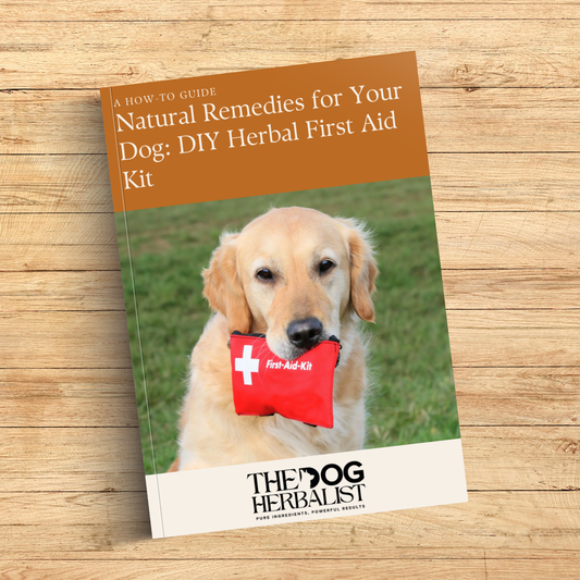 Natural Remedies for Your Dog: DIY Herbal First Aid Kit eBook
