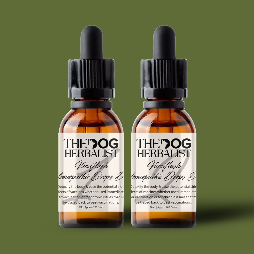 Vacciflush Homeopathic Drops – natural homeopathic drops to support dogs after vaccination – holistic dog health UK