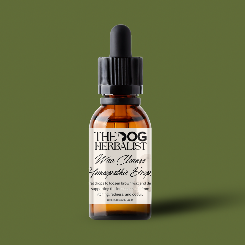 Wax Cleanse Homeopathic Drops – natural homeopathic drops for dog ear wax and ear health – holistic dog health UK
